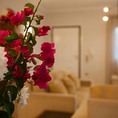 Areti Vila Dhorizáta